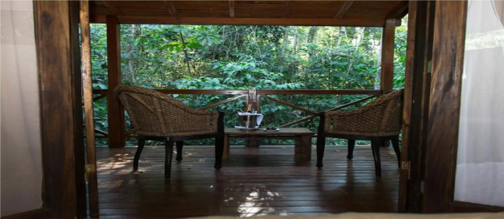 Selva de Laurel