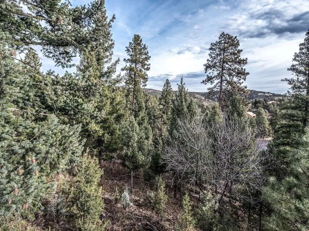 Garey's Deer Haven