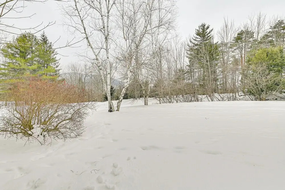 3 Mi to Windham Mountain: Pet-friendly Apt w/ Yard