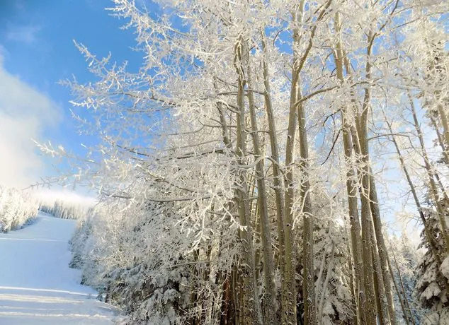 White Peaks