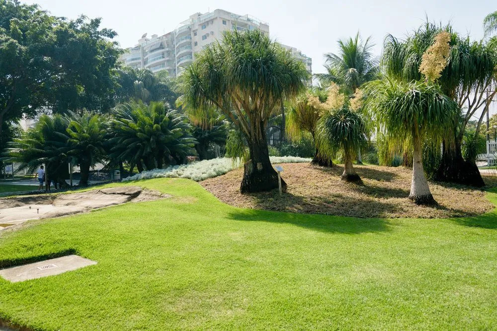 Condominio Rio 2 - BAR30