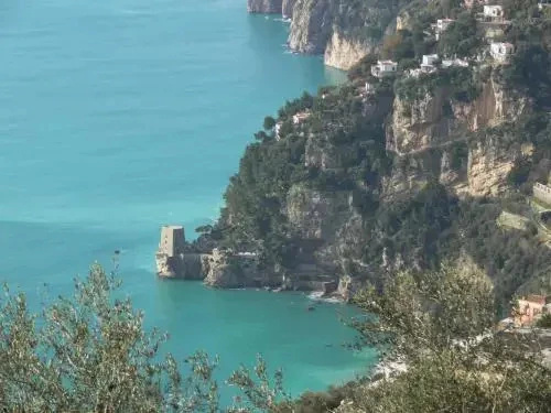 LUliveto