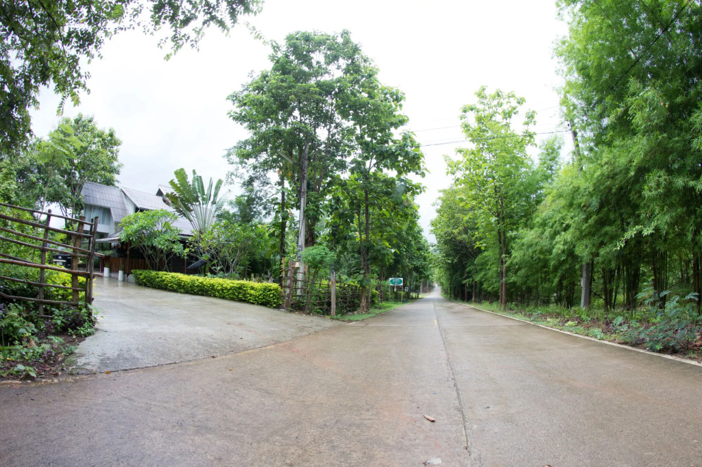 Baan salee pai