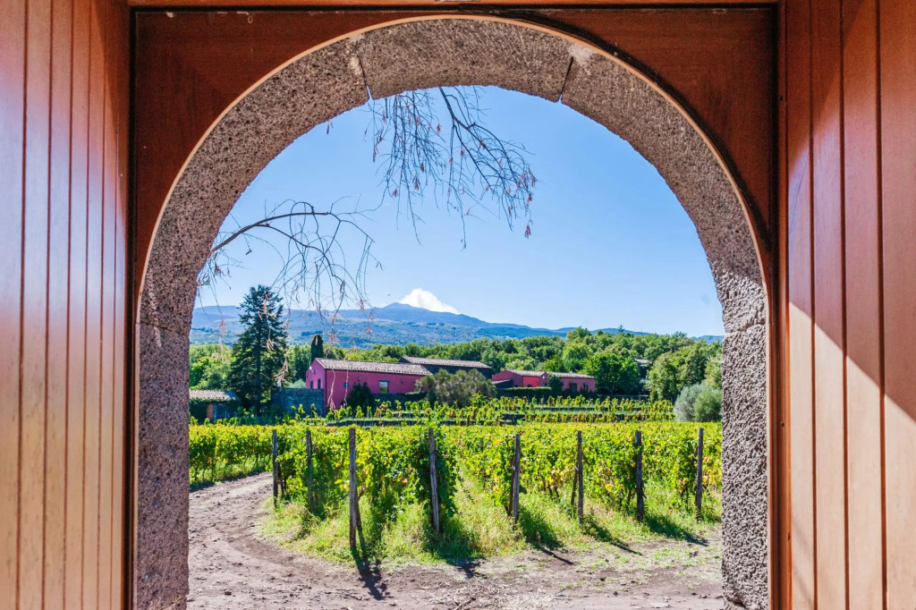 Terrazze dell'Etna - Country apartment 4 - CM