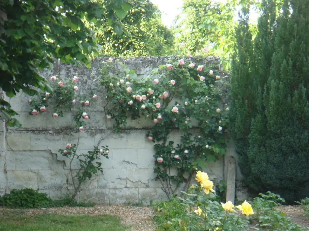 Villa Chanelle
