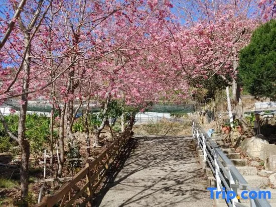 Xinleyuan Leisure Farm House