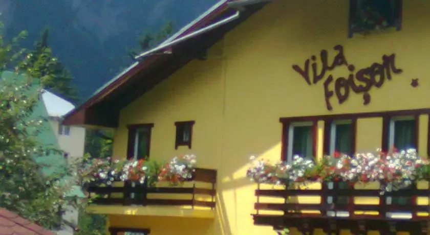 Villa Foisor