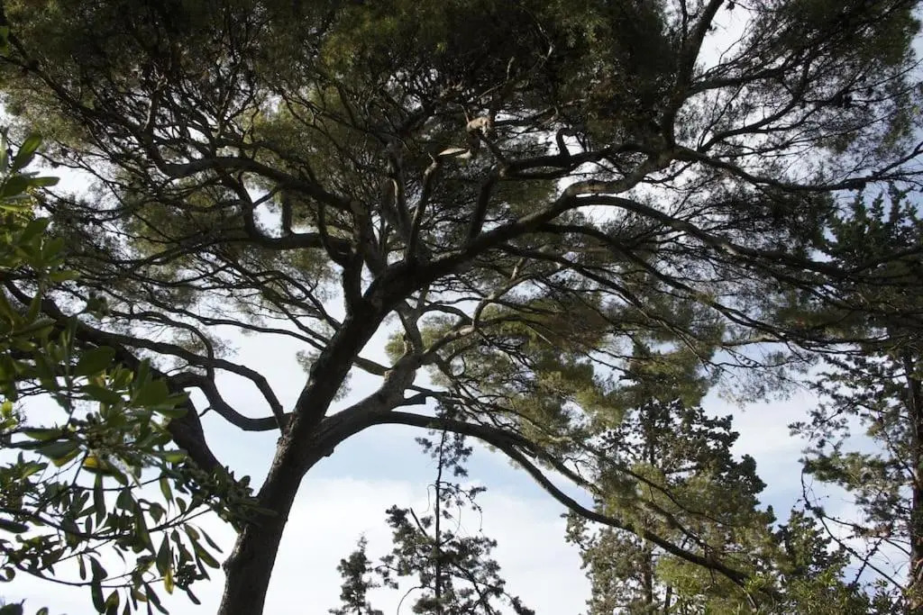 La Ciotat T2 résidence fermée avec parking, parc arboré, plage à 200m