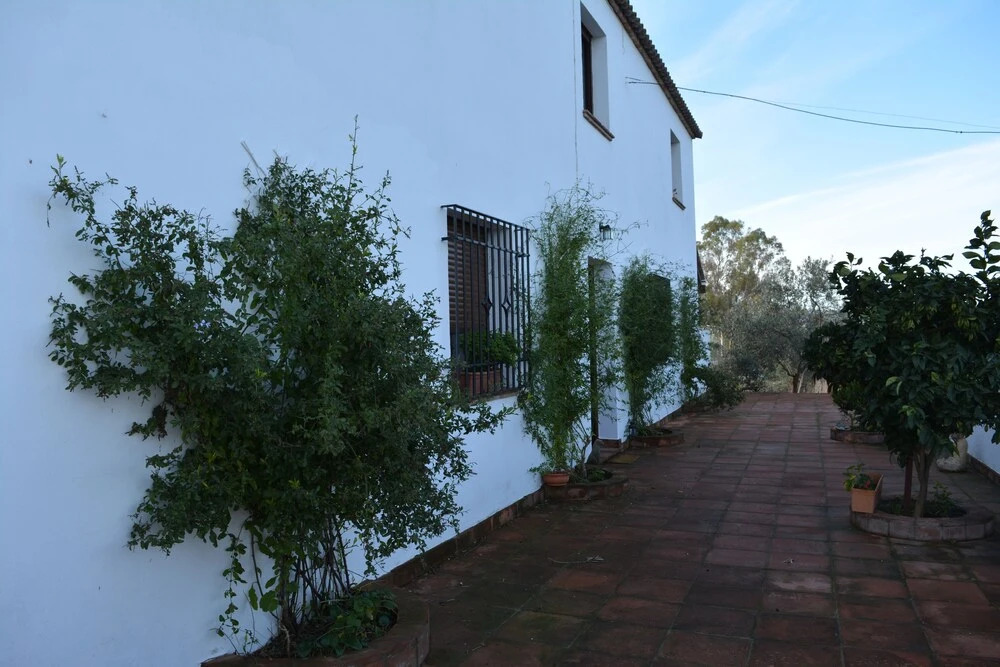 Villa Madrigueras