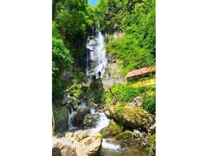 Rafting and Hotel