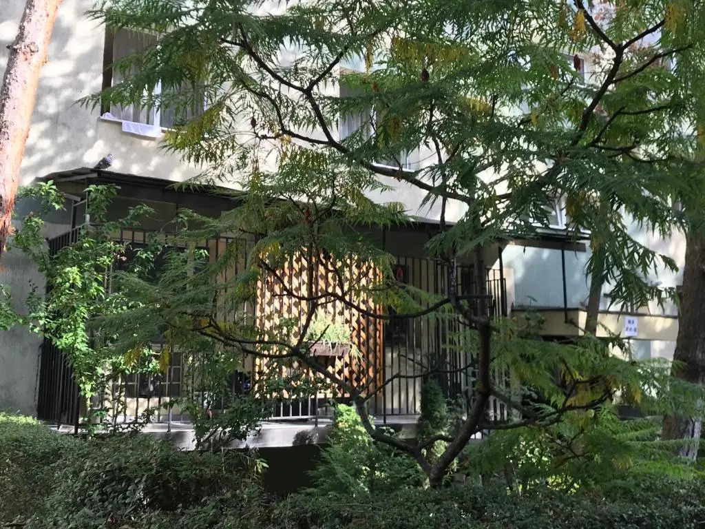 Maya Apartment
