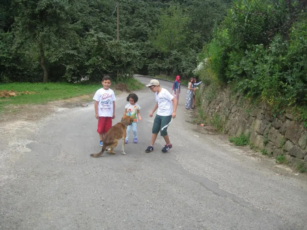 Ekolojik Güney Köy Pembe Köşk