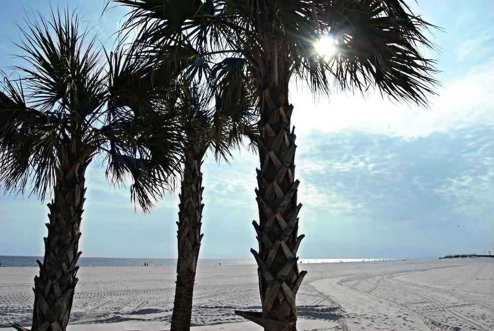 Beachview 322 by RedAwning