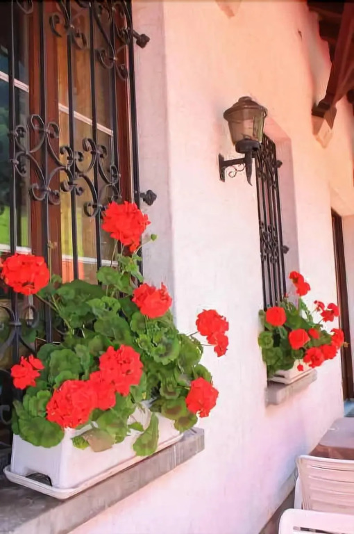 Hotel Engel