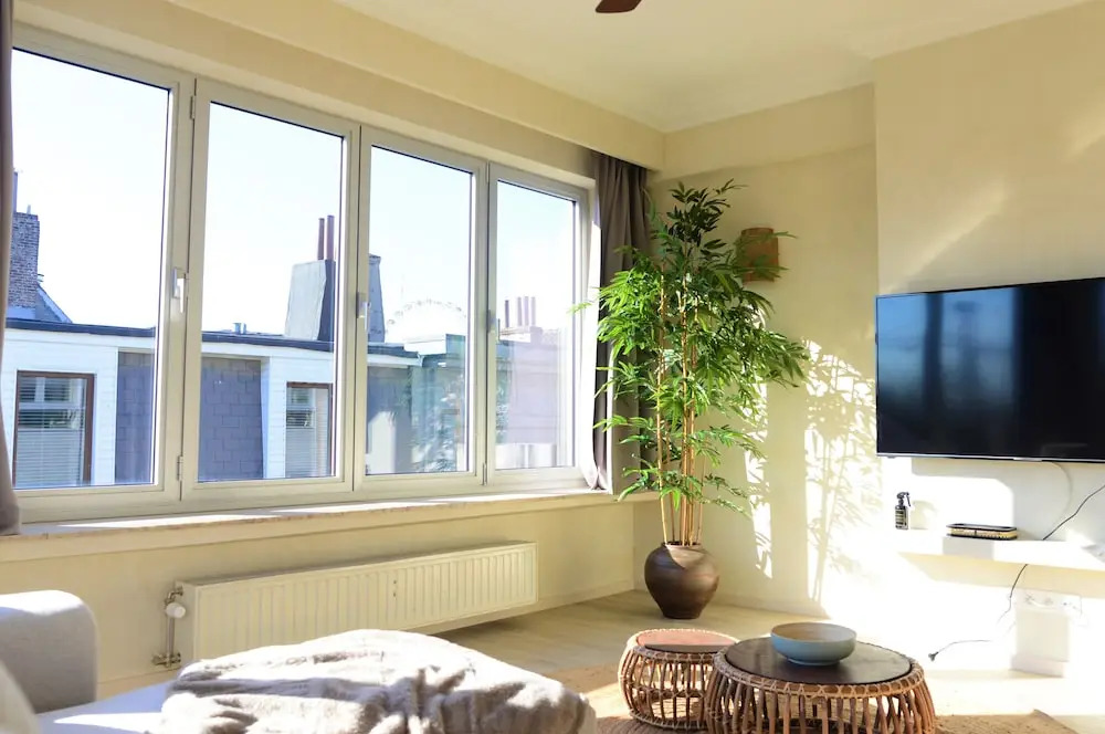 Japandi lofts
