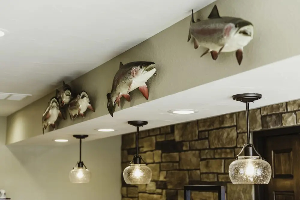 Bass Pro Shops Anglers Lodge