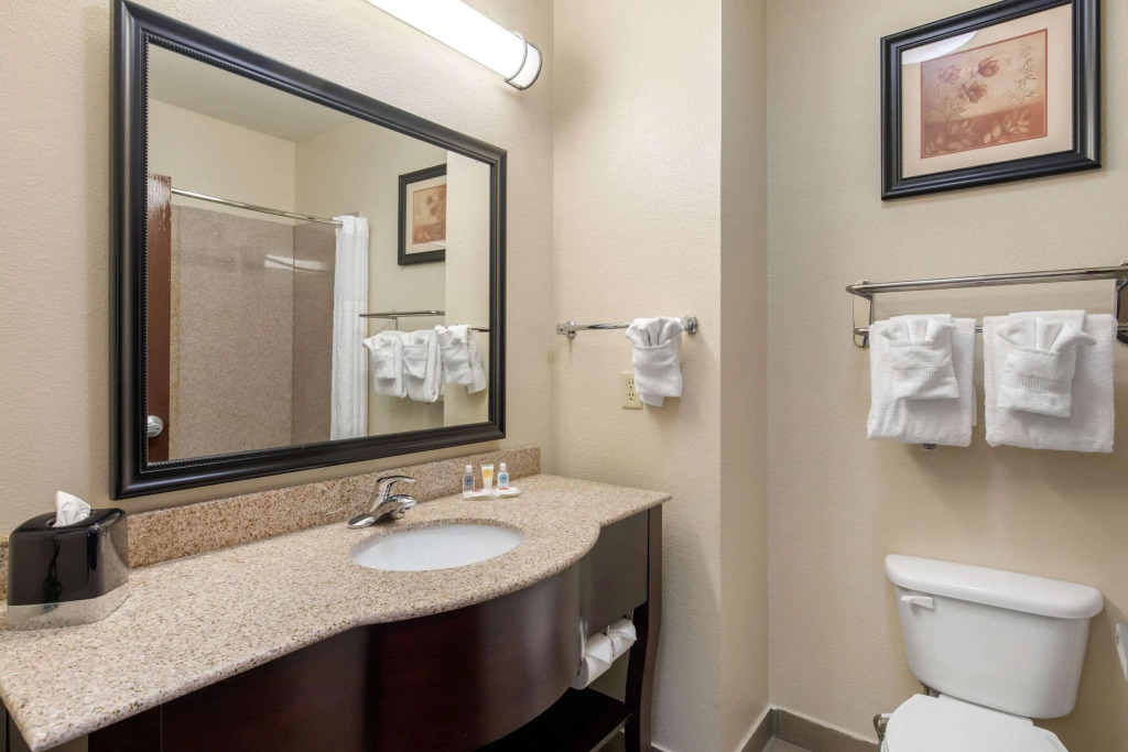 Comfort Inn Near UNT