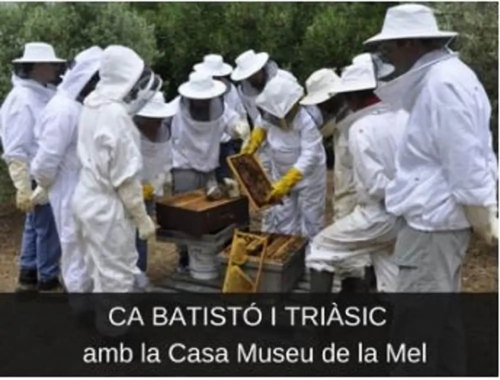 Mas Rosich