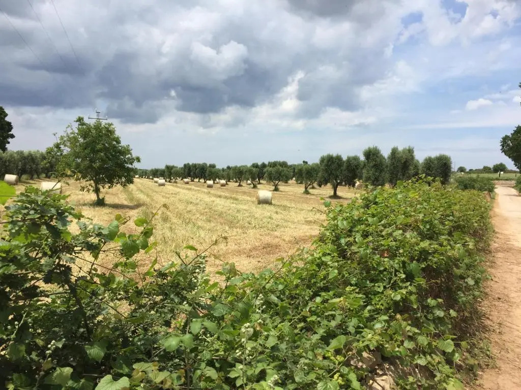 The Paradise - Il Paradiso di Ostuni
