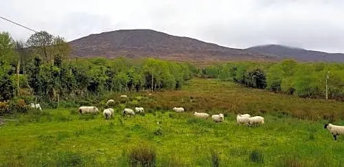 Mountain View Bed & Breakfast, Kenmare, Co. Kerry, Ireland