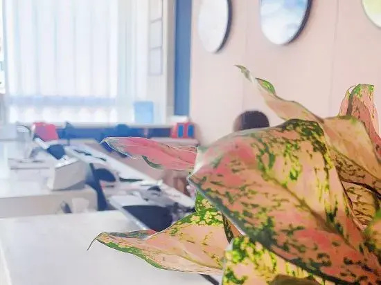 Ruxing Family Business Hotel