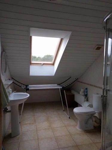 Pas Birutę