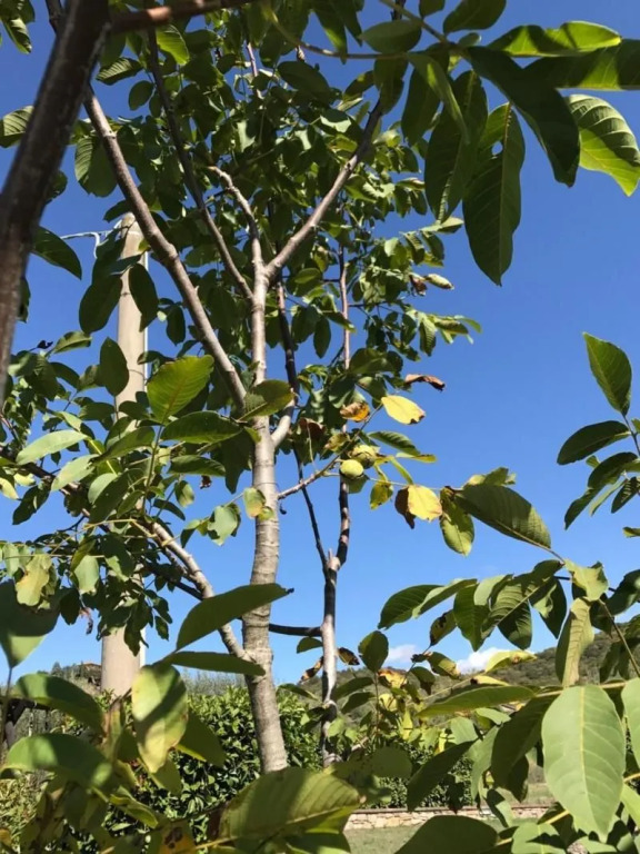 Azienda Agrituristica I Tre Casali