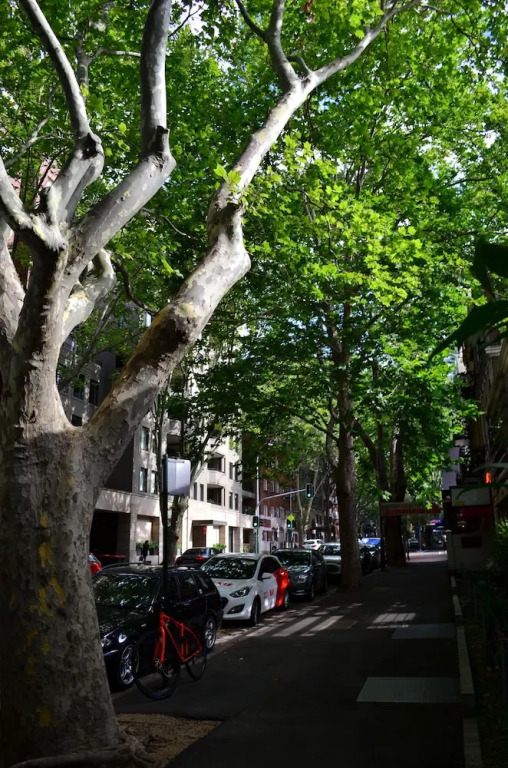 Potts Point Chic, Sydney Apartment