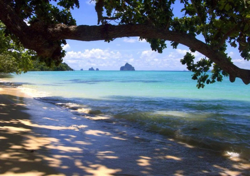 Coral Garden Resort