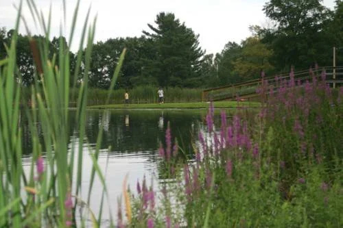 The Country Place Resort - Home of Zoom Flume Water Park