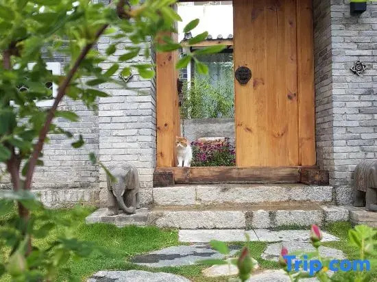 Floral Hotel·DALI LUTAI GUEST Hotel