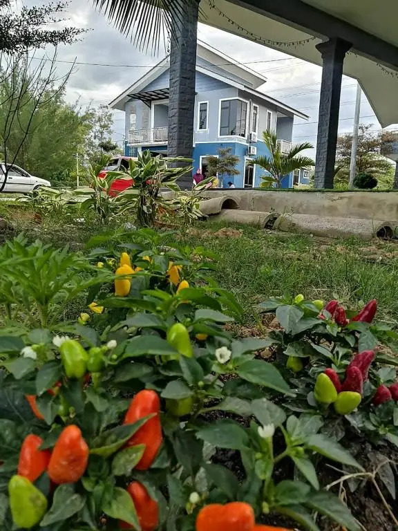 Rumah Tepi Sungai KB