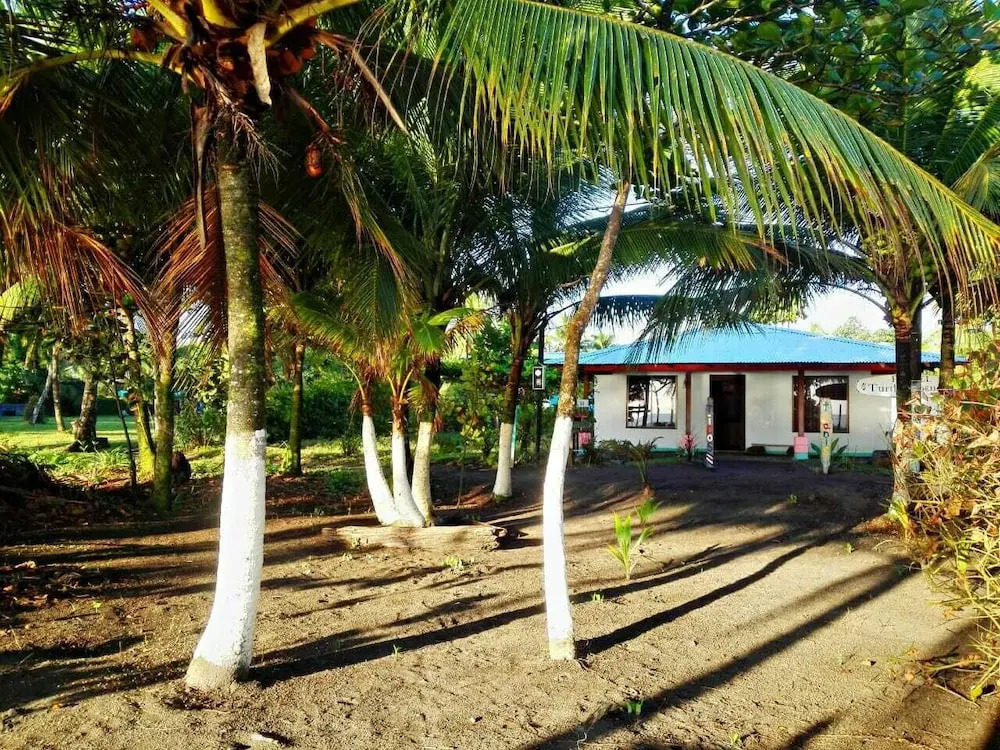 Casa turtle Bogue