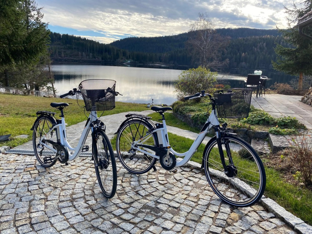 Schluchsee, Villa Seepark