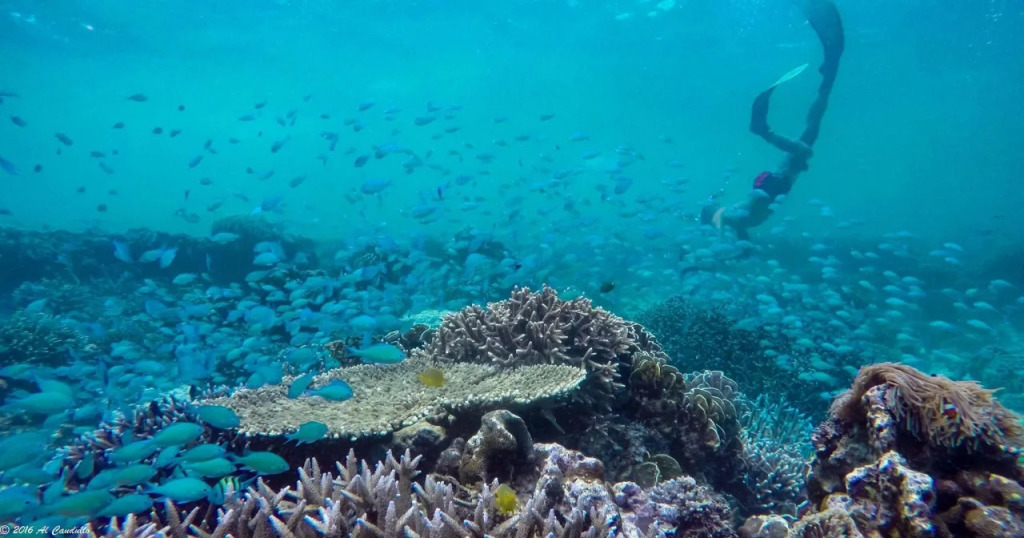 Boulder Bay Eco Resort - Nga Khin Nyo Gyee Island