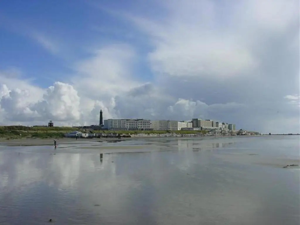 Moewennestchen