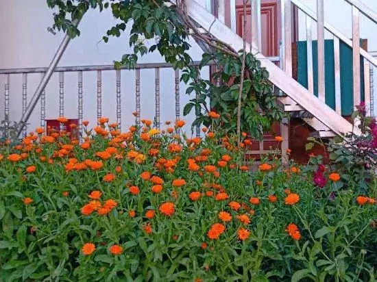Nalati Honghui Inn