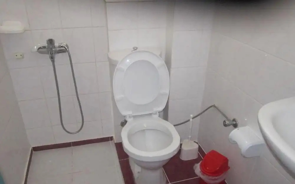 Red Rose Hotel