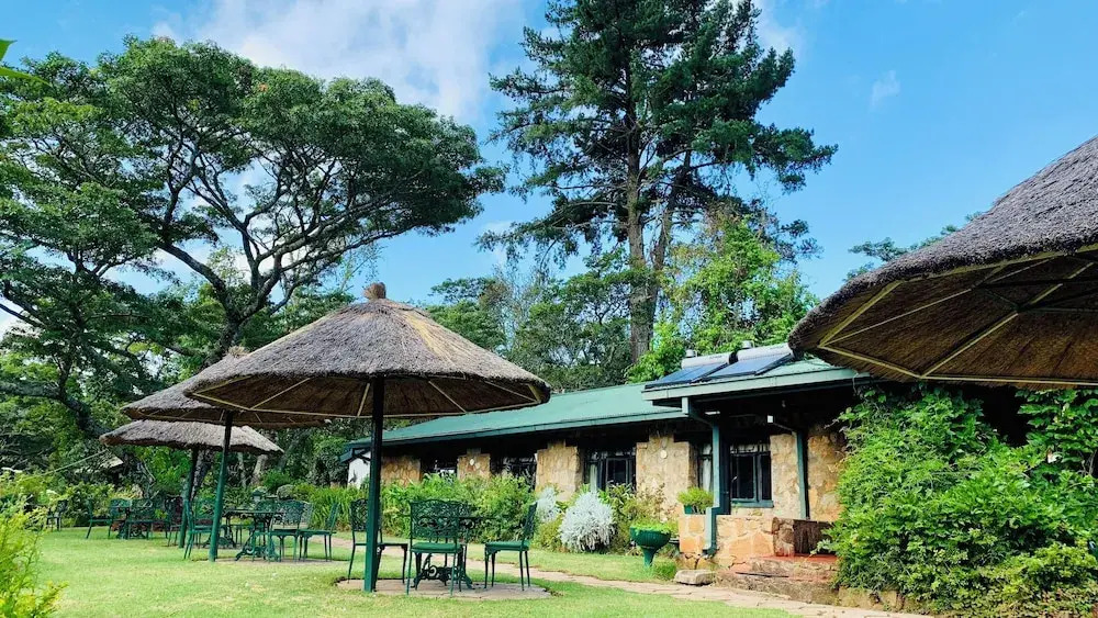 Pinetree Inn Hotel
