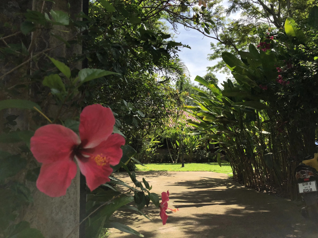 Happy Garden villa