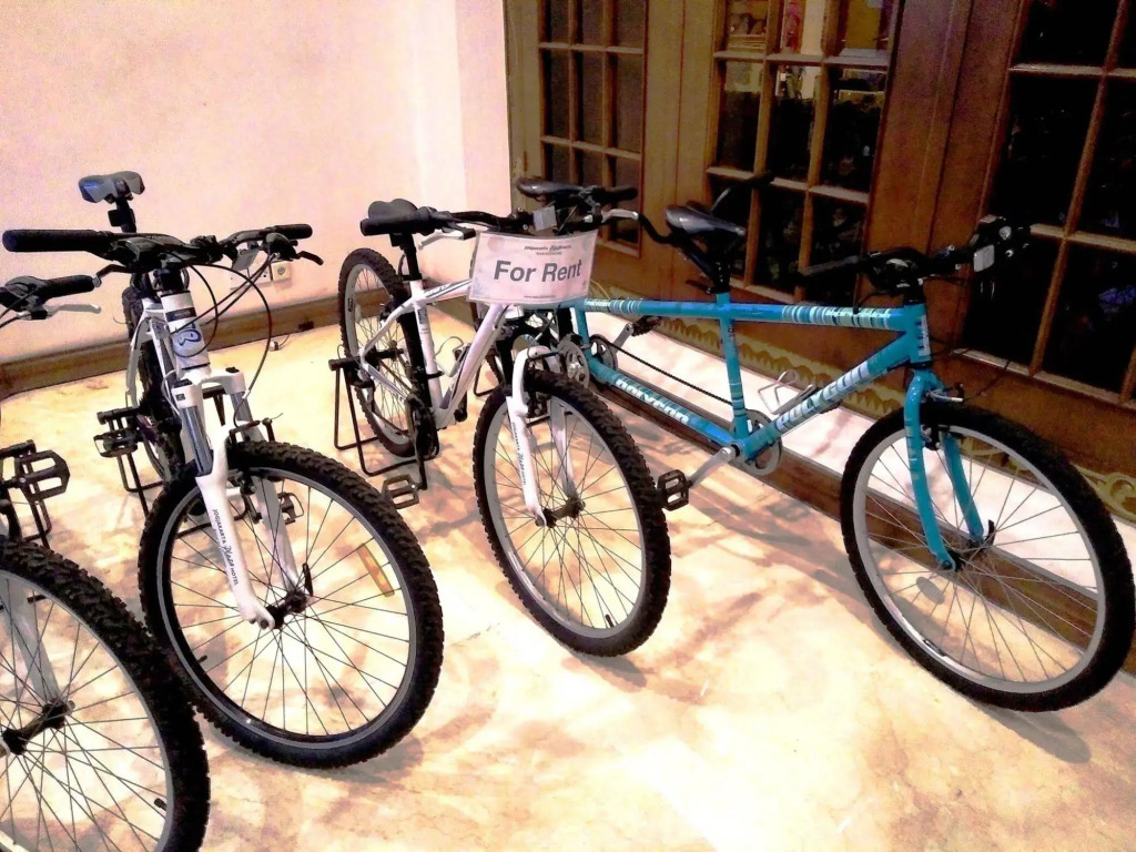 Loman Park Hotel Yogyakarta