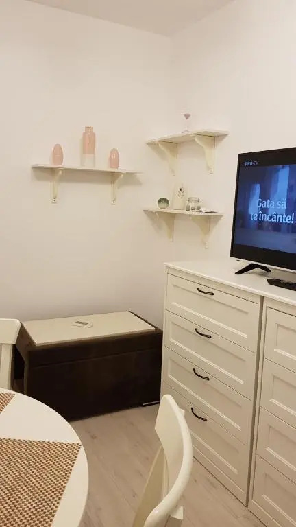 Apartament Ultracentral Monadin 2