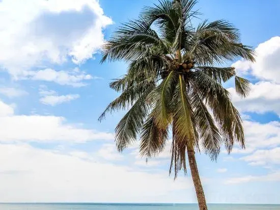 IMMERSING Hotel (Haikou XinBu Island Bihai Yintan Branch)
