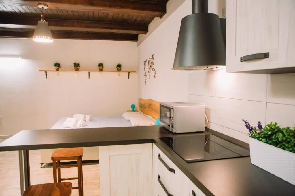 Apartment in the Heart of the City