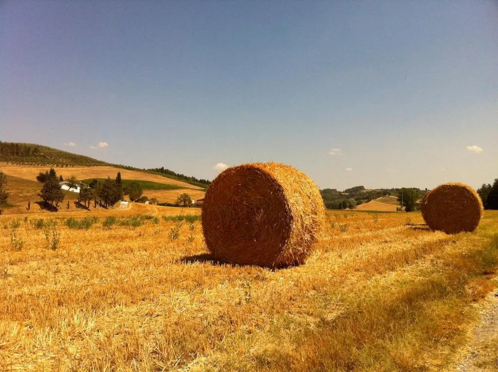 Casa vacanza LA FARFALLA PT