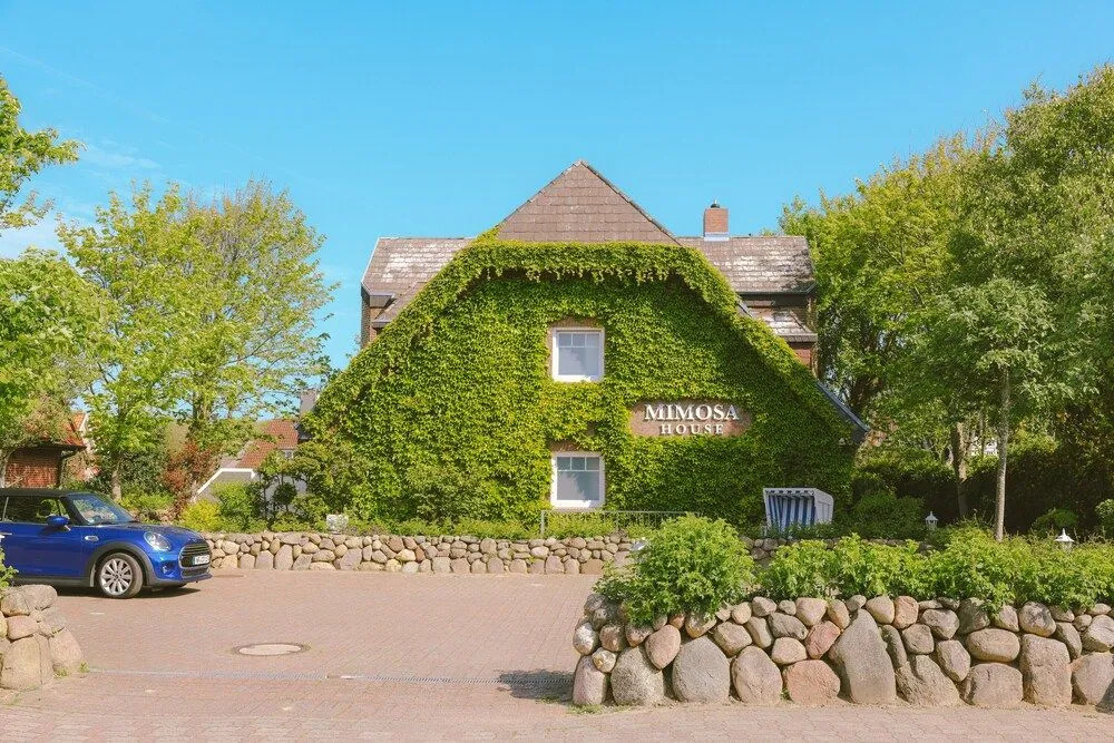 Mimosa House