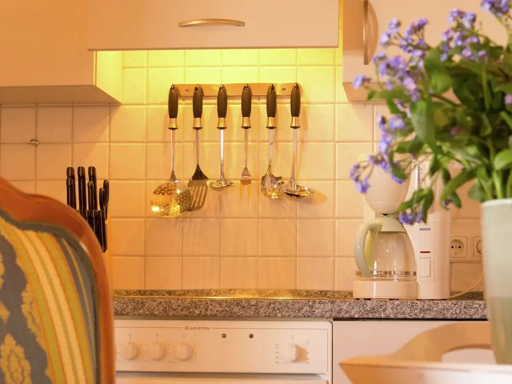 Luxurious Apartment in Mecklenburg With Furnished Terrace