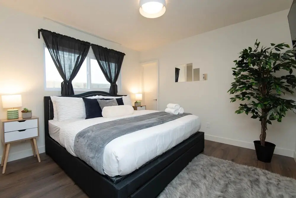 Stylish Apartment near Dodger St
