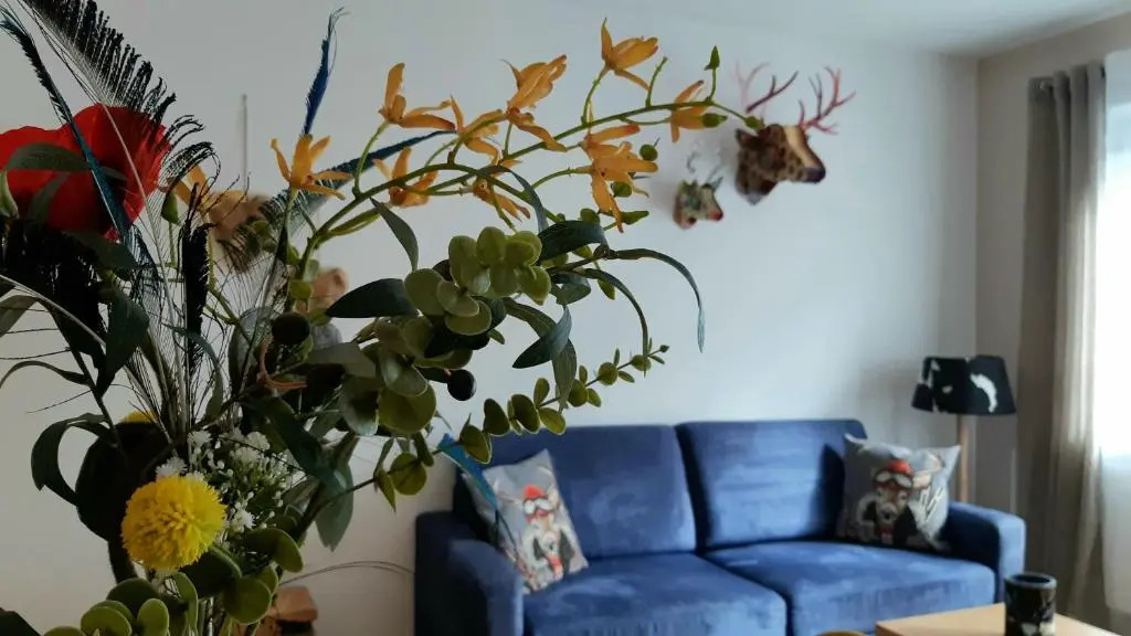 Appartement Miran by Miha