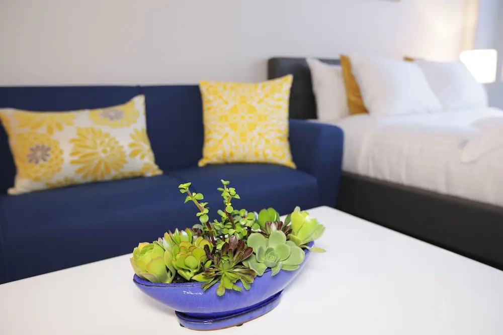 Panoramic View Suites